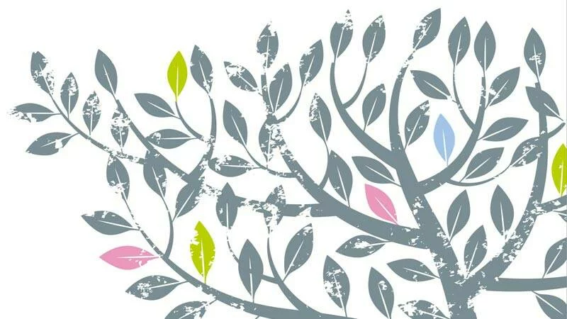  2014/12/tree-life_800x450.jpg 