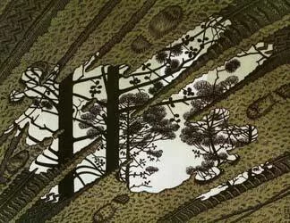  2015/08/M-C-Escher_Puddle-t.jpg 