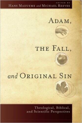madueme_adam-fall-original-sin_cover