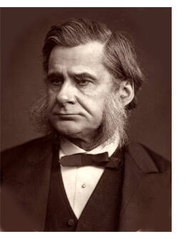 huxley2