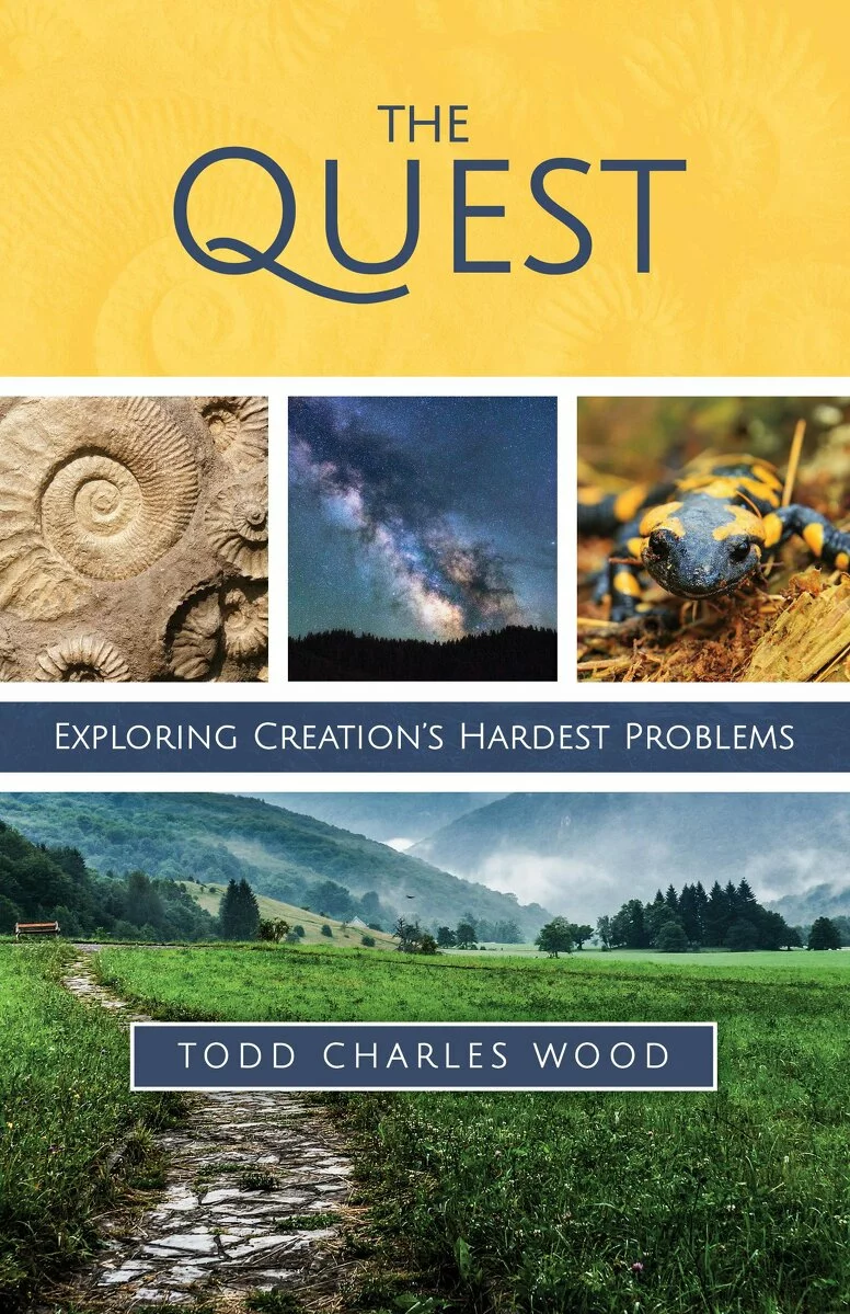  2019/03/The-Quest–Wood.jpeg 