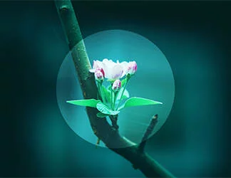  2019/07/Thumb-8.jpg 