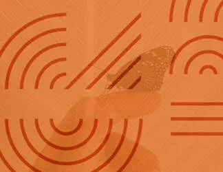  2019/09/Thumb-2.jpg 
