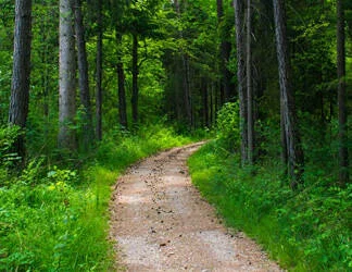  2019/10/Path-2-Thumb.jpg 