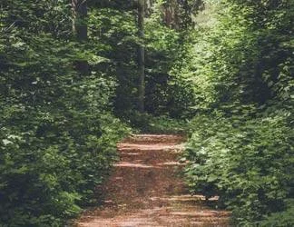  2019/10/Path-3-Thumb.jpg 