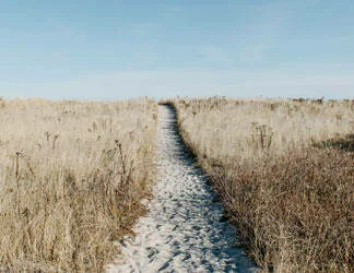  2019/10/Path-4-Thumb.jpg 