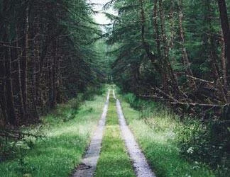  2019/10/Path-5-Thumb.jpg 