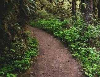  2019/10/Path-6-Thumb.jpg 