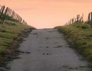  2019/12/Path-9-Thumb.jpg 
