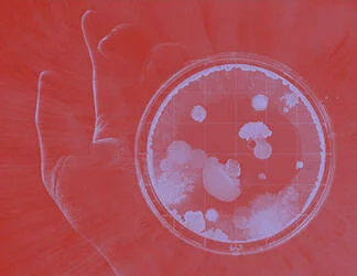  2020/11/Thumbnail-3.jpg 