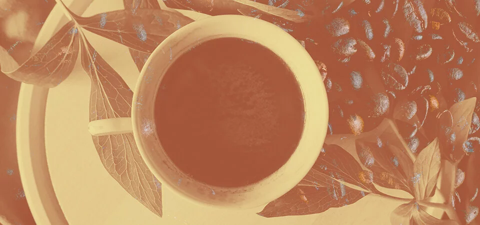 Coffee