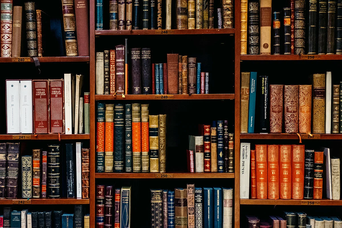 2023/02/library.jpg